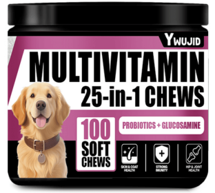 25 In 1 Immune Supplement