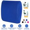 Lumbar Support Pillow Memory Foam Back Cushion with 3D Mesh Cover for Car Office Chair